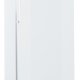 Liebherr GGv 5010 Congelatore ad armadio 325 L Libera installazione C 3