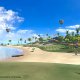 Sony Everybody's Golf VR, PS4 Standard Inglese PlayStation 4 6