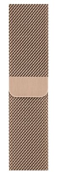 Apple MTU42ZM/A accessorio indossabile intelligente Band Oro Acciaio inox
