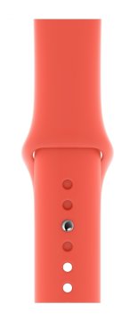 Apple MTPA2ZM/A accessorio indossabile intelligente Band Pesca Fluoroelastomero