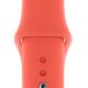 Apple MTPA2ZM/A accessorio indossabile intelligente Band Pesca Fluoroelastomero 2