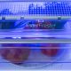 Beko RCNA366E30ZXB frigorifero con congelatore Libera installazione 324 L Acciaio inox 4