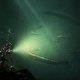 Bigben Interactive The Sinking City - Day One Edition Standard PlayStation 4 8