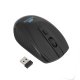 Rivacase 8038 + WIRELESS MOUSE 39,6 cm (15.6