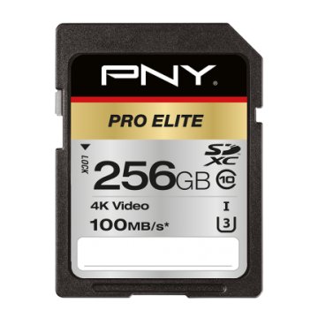 PNY PRO Elite 256 GB SDXC UHS-I Classe 10