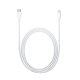 Apple MK0X2AM/A cavo Lightning 1 m Bianco 2