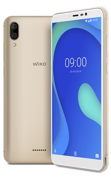 Wiko Y80 15,2 cm (5.99") Doppia SIM Android 9.0 4G Micro-USB 2 GB 16 GB 4000 mAh Oro