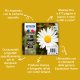 Epson Daisy Inchiostro nero singolo Claria Home Margherita 18 4