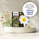 Epson Daisy Inchiostro nero singolo Claria Home Margherita 18 5