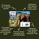 Epson Elephant Inchiostro ciano chiaro singolo Claria Photo HD Elefante 24XL 3