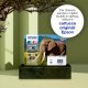 Epson Elephant Inchiostro ciano chiaro singolo Claria Photo HD Elefante 24XL 4