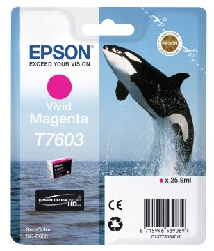 Epson Vivid Magenta T7603