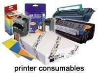 Epson Carta fotografica lucida Premium (250), in rotoli da111,8cm (44'') x 30, 5m.