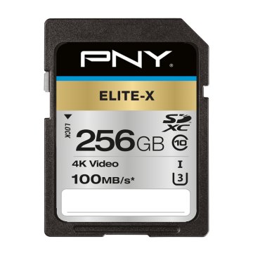 PNY Elite-X 256 GB SDXC UHS-I Classe 10