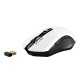 Sharkoon Skiller SGM3 mouse Mano destra RF Wireless + USB Type-A Ottico 6000 DPI 4