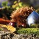 Alessi Chestnut 1 4