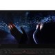 Lenovo ThinkPad X1 Extreme Intel® Core™ i7 i7-9750H Computer portatile 39,6 cm (15.6