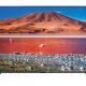 Samsung Series 7 UE50TU7070U 127 cm (50