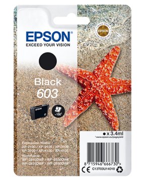 Epson Singlepack Nero 603 Ink