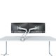 Neomounts Supporto da scrivania per monitor 6