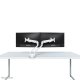 Neomounts Supporto da scrivania per monitor 6