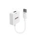 Lindy 38146 cavo e adattatore video HDMI tipo A (Standard) DisplayPort Bianco 2