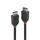 Lindy 36493 cavo DisplayPort 3 m Nero 2