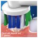 Oral-B 3D White Testine Di Ricambio Con Tecnologia CleanMaximiser, Confezione Da 3 Pezzi 5