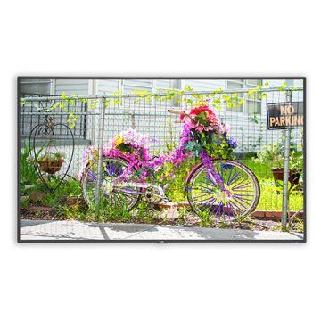 NEC MultiSync C551 Pannello piatto per segnaletica digitale 139,7 cm (55") LED 400 cd/m² Full HD Nero 24/7