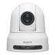 Sony SRG-X120 Cupola Telecamera di sicurezza IP 3840 x 2160 Pixel Soffitto/palo 2