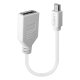 Lindy 41021 cavo DisplayPort 0,15 m Mini DisplayPort Bianco 2