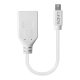 Lindy 41021 cavo DisplayPort 0,15 m Mini DisplayPort Bianco 3