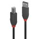 Lindy 36672 cavo USB USB 2.0 1 m USB A USB B Nero 2