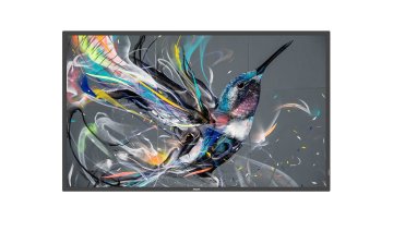 Philips 65BDL3510Q/00 visualizzatore di messaggi 165,1 cm (65") IPS 400 cd/m² 4K Ultra HD Nero 18/7
