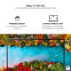 Samsung Galaxy Book Ion Portatile Windows | 10 Home Display 13.3” FHD QLED Intel Core i7 RAM 16 GB Memoria interna 512 GB NVMe SSD Wi-Fi 6 Batteria 69.7Wh Lettore Impronte Digitali Aura Silver 3