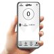 Icon.e Spillo Pro Argento 20 km/h 8 Ah 11