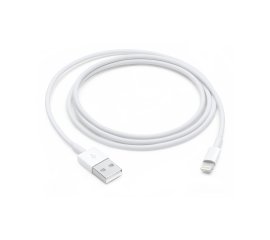 Apple Cavo da lightning a USB 1mt