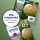 Epson Apple Inchiostro giallo singolo DURABrite Ultra Mela T1294 4