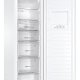 Haier H2F-255WSAA Congelatore verticale Libera installazione 262 L E Bianco 6