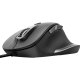 Trust Fyda mouse Ufficio Mano destra USB tipo A Ottico 5000 DPI 2