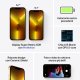 Apple iPhone 13 Pro Max 1TB Oro 9