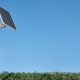 Arlo VMA3600-10000S pannello solare 4