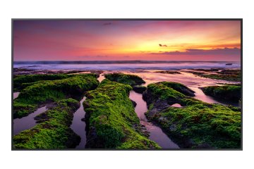 Samsung QB75B Pannello piatto per segnaletica digitale 190,5 cm (75") Wi-Fi 350 cd/m² 4K Ultra HD Nero Processore integrato Tizen 6.5 16/7
