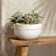 Villeroy & Boch 1951723170 ciotola ornamentale Beige Porcellana 4