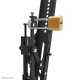 Neomounts WL35S-850BL16 Supporto TV a parete 42-86