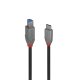 Lindy 36668 cavo USB USB 3.2 Gen 1 (3.1 Gen 1) 3 m USB C USB B Nero 2