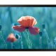 Samsung QB24R-B Pannello piatto per segnaletica digitale 61 cm (24