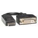 Tripp Lite P134-000 cavo e adattatore video 0,15 m Displayport DVI-I Nero 2