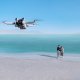 DJI Mini 3 Pro (RC-N1) 4 rotori Octocopter 48 MP 3840 x 2160 Pixel 2453 mAh Nero, Bianco 33