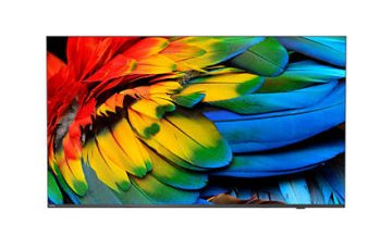 Philips 65HFL6214U/12 TV 165,1 cm (65") 4K Ultra HD Wi-Fi Antracite 400 cd/m²